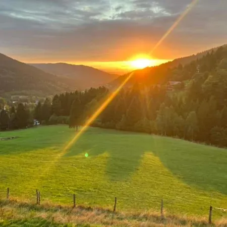 La Ferme Du Panorama Et Chalet